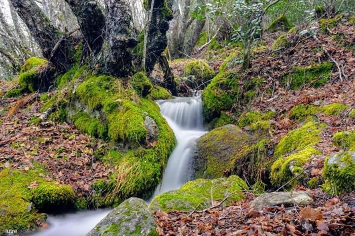 فيلا Casa Rural Las Nieves San Ciprián المظهر الخارجي الصورة